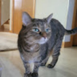 Meet your Posher, Eliza